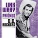 Link Wray And Friends, Various Artists